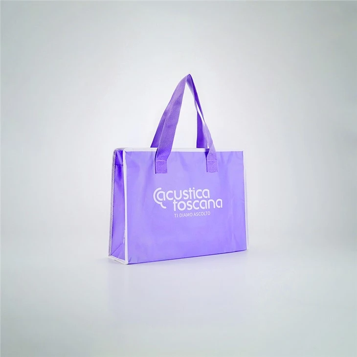 Laminated Non Woven Zipper Handbag